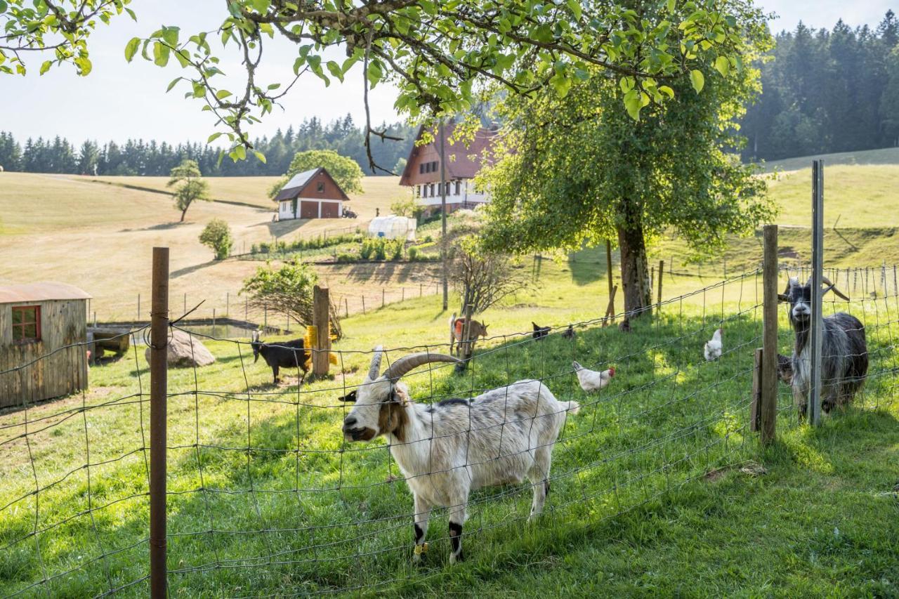 Appartamento Klausenhansenhof Wolfach Esterno foto