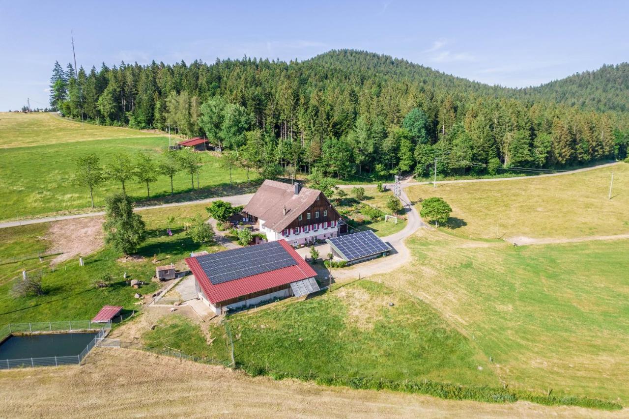 Appartamento Klausenhansenhof Wolfach Esterno foto